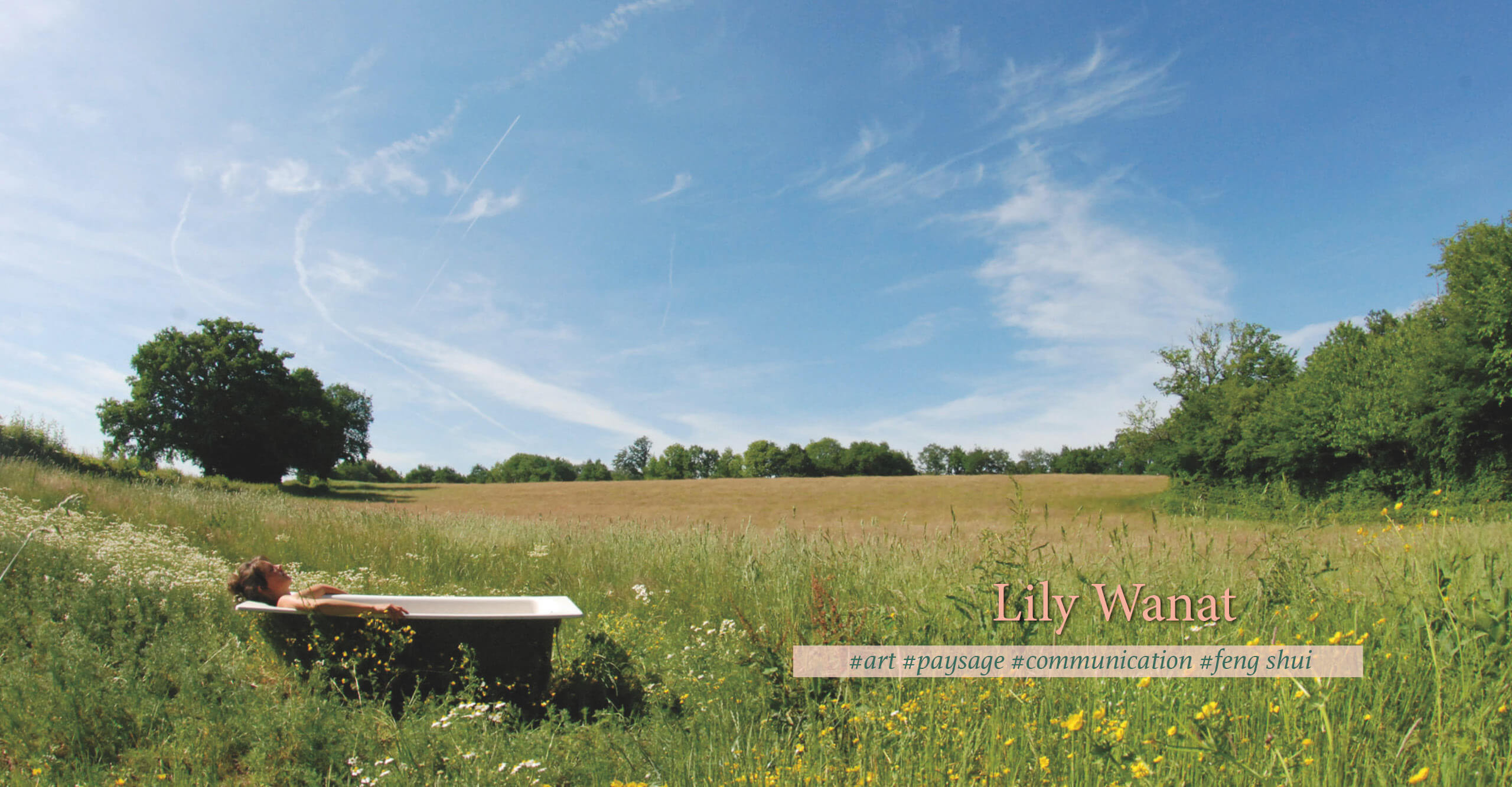 Lily Wanat art feng shui paysage