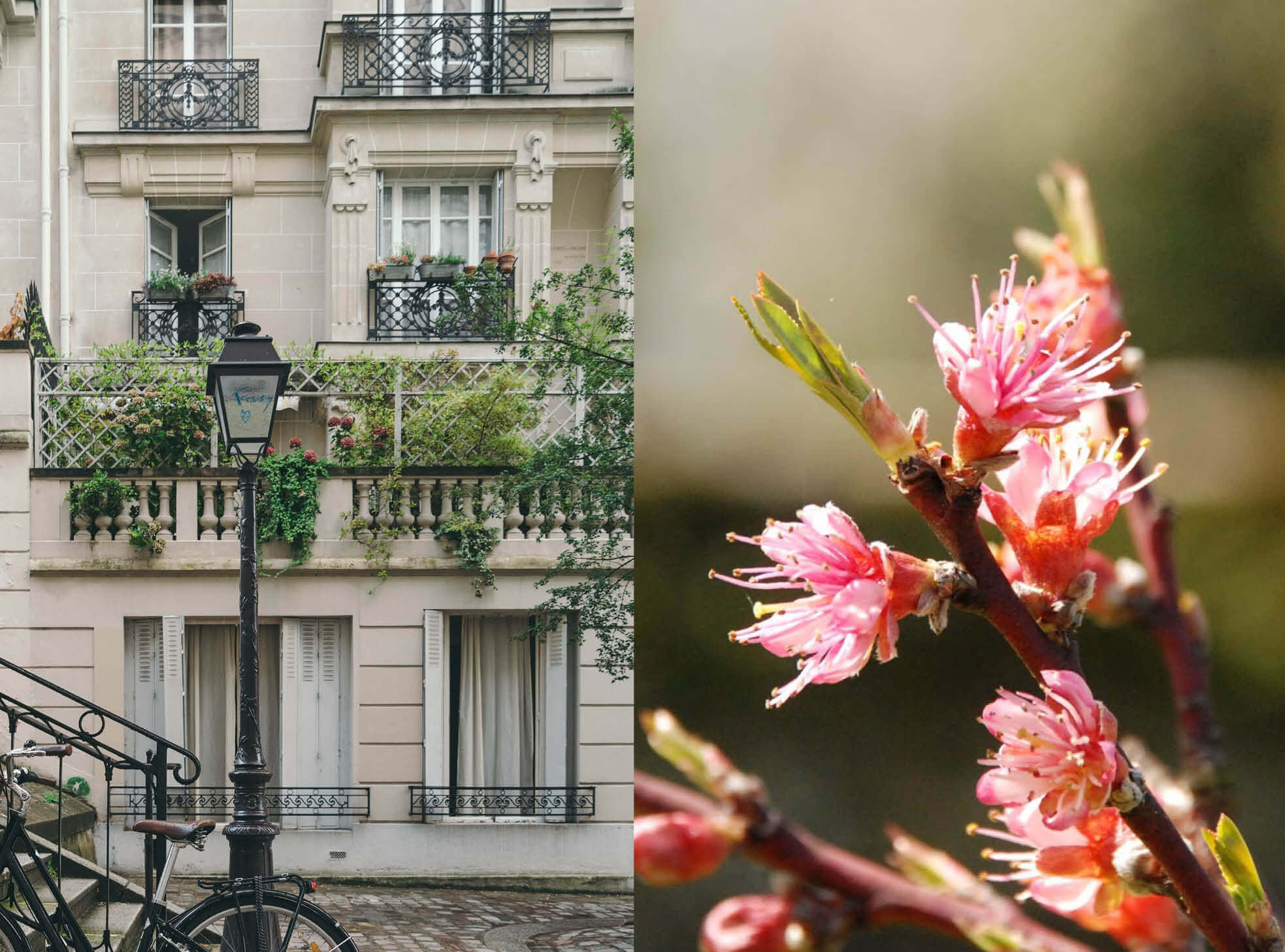 printemps_feng_shui_lily_wanat_tel